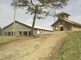 Faith baptist 